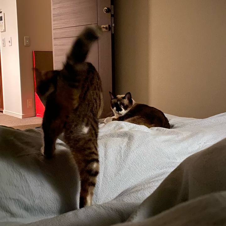 F8efb757 8de5 499b 8325 75635aa3f8a7 1593670259265