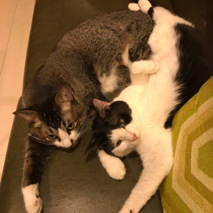 F8efc4b2 1566 4c2a a7c1 d0f2a2b1b384 1571710852390