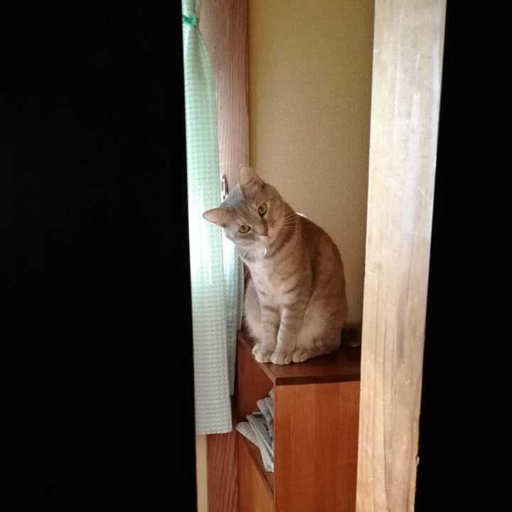 F8efd5d8 a66f 4661 942b a1a5a9b36b97 1522632474664