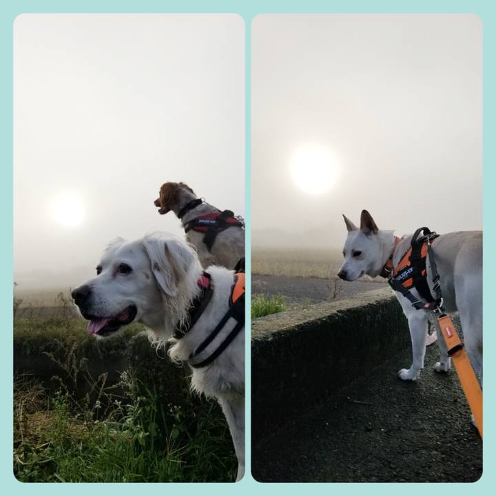 F8efe5a3 dedf 4310 9a40 f7af8063fc7c 1670377759646