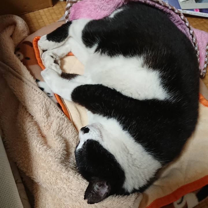 F8eff444 ca5c 4be9 b107 d7d09cdc8244 1605584786849