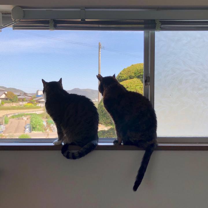 F8eff516 e54d 44c7 b48b 2670762f2f22 1617255204966