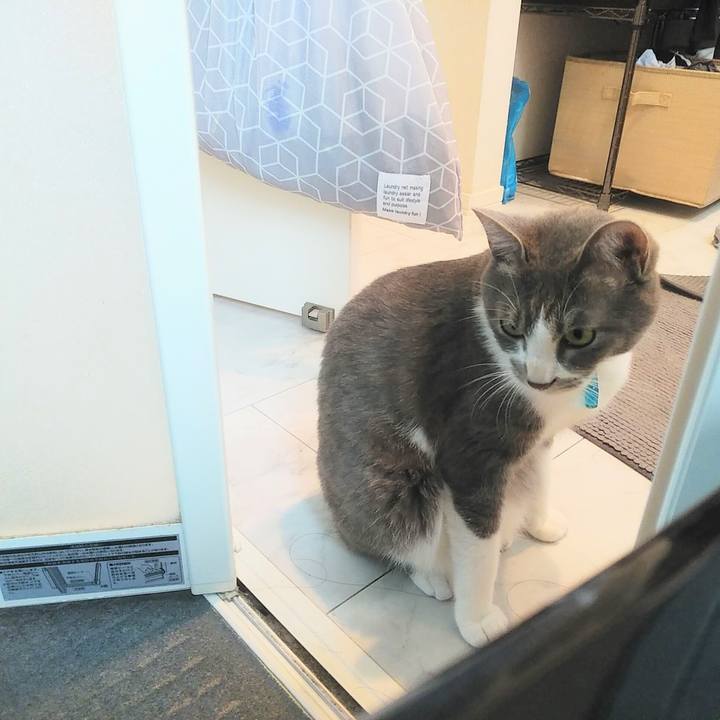 F8f00921 4cf2 4d95 8894 d6d37782f7c6 1621501400463