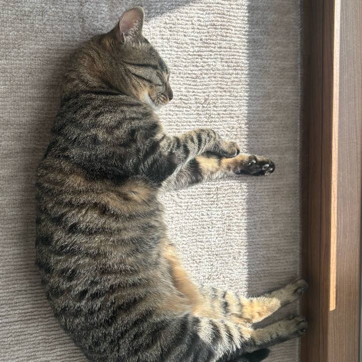 F8f0166b 2bfe 4f41 a7c0 5589f9463fc4 1766888068408