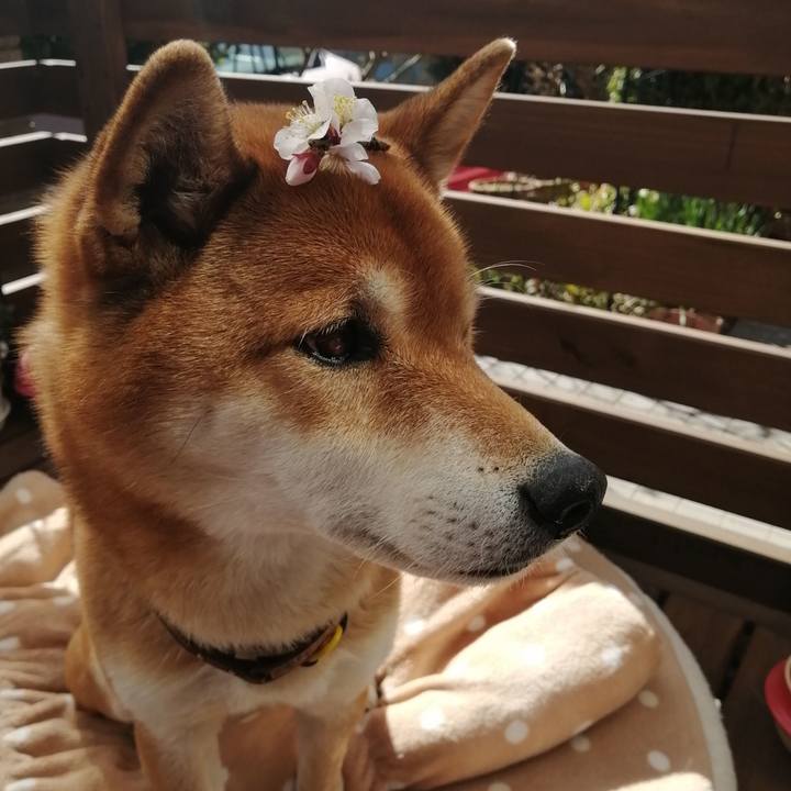 F8f020c1 c0ac 4aea 98a2 adfeaafea4c5 1614426501318