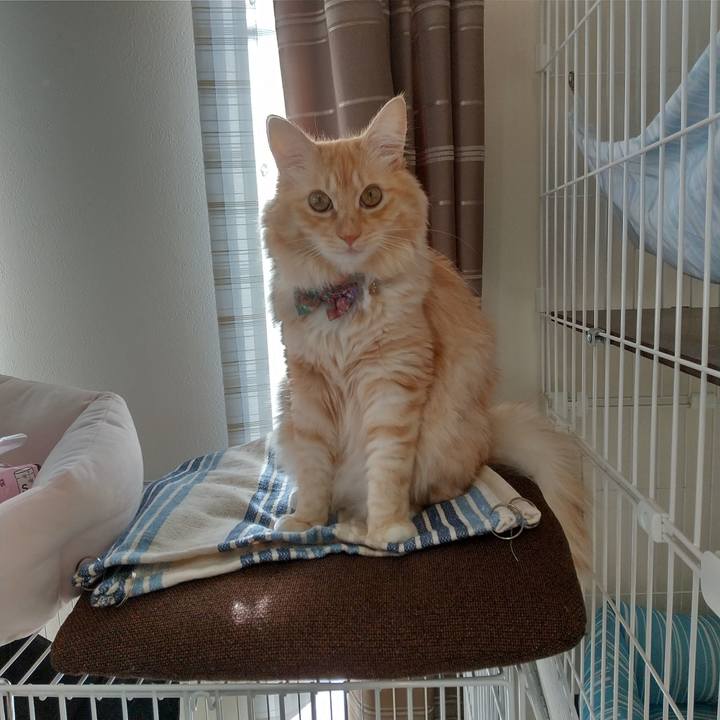 F8f032e4 bf21 43c0 9d2a a86b5ac2242c 1638674012238