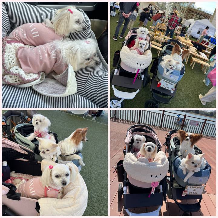 F8f05f17 d8c5 4023 8043 0543a0ddd942 1711788874266