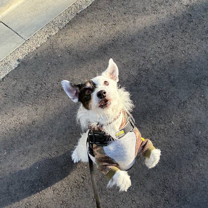 F8f06e0b 9204 4ce6 9814 595c4456819c 1763940259440