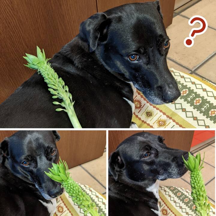 F8f07671 fc79 4076 97d0 6cd1f520a085 1660044006320