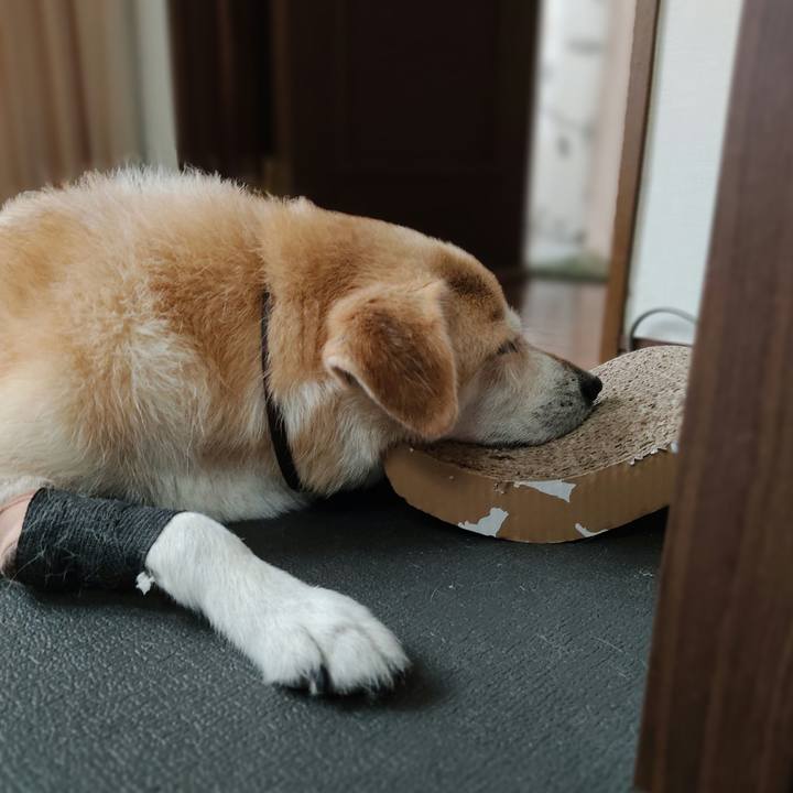 F8f07873 e4c1 4962 9474 687b40bf5e14 1662892486306