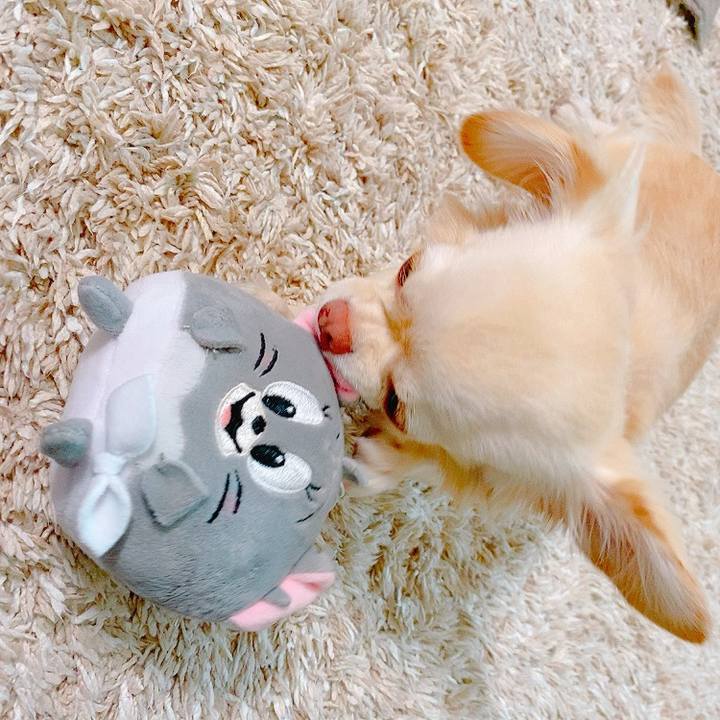 F8f0a9f0 d60f 4a2c a205 3770816ace8b 1632641225531