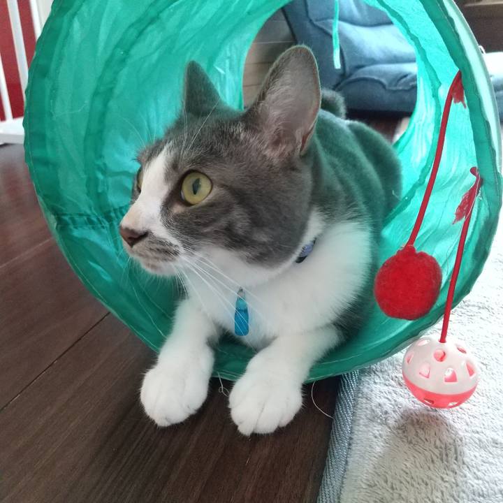 F8f12458 ef93 439f 9dcb 5a15c23a168b 1599607677425