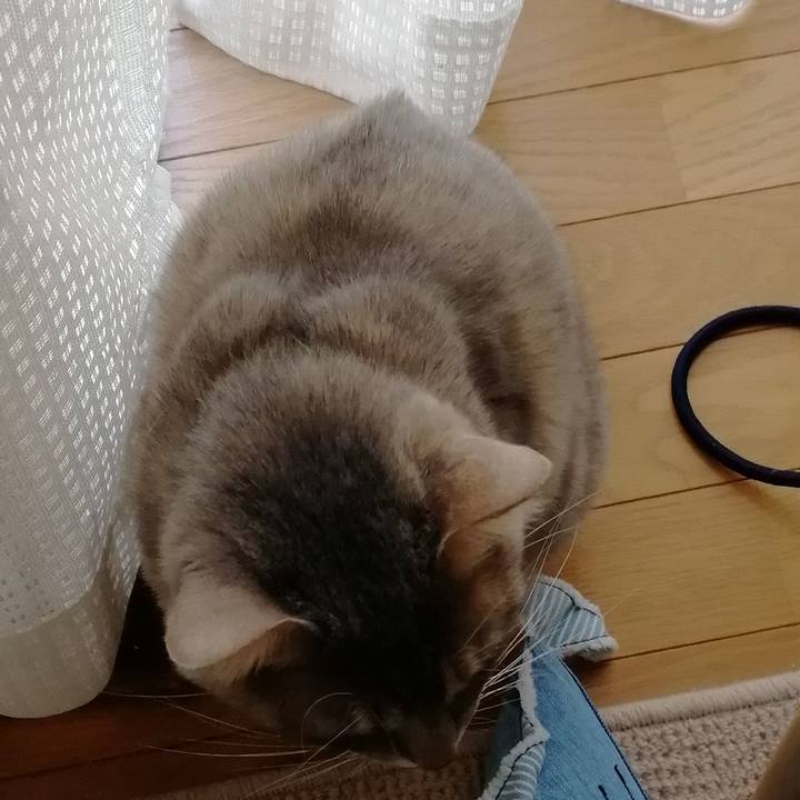 F8f1313d c612 4ed7 b09a 9eccca94a241 1552617292404