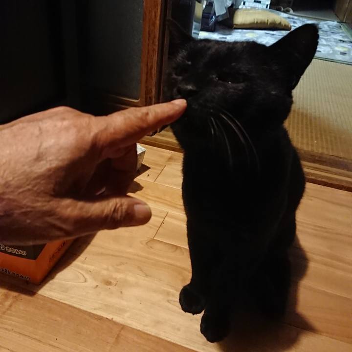 F8f19d86 e058 490d a65d ce6b23d9e158 1628687647243