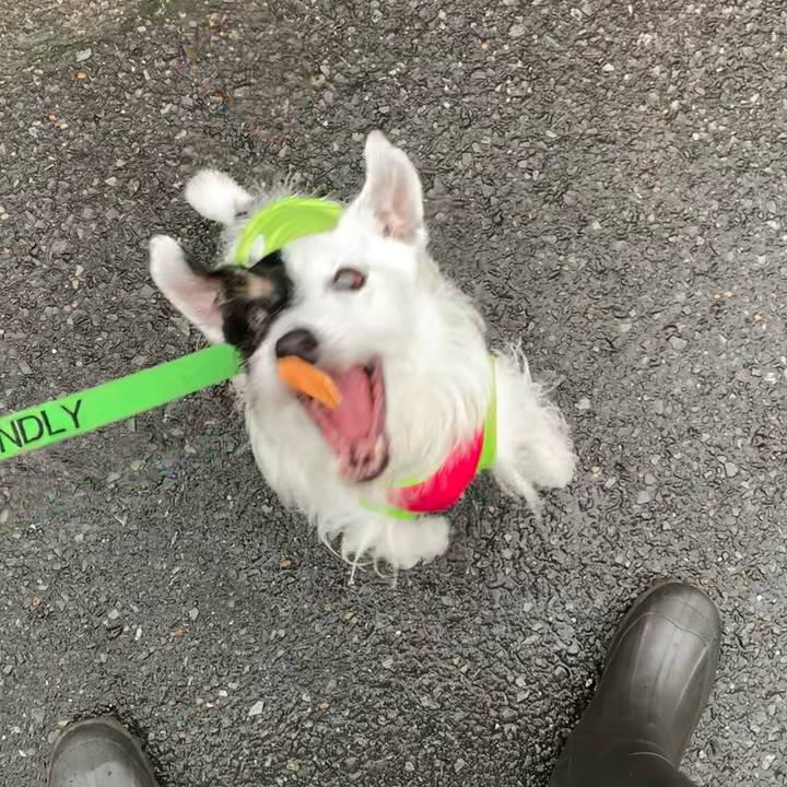 F8f1a4c2 efde 4f6c b7f0 109dc135b358 1686277388270