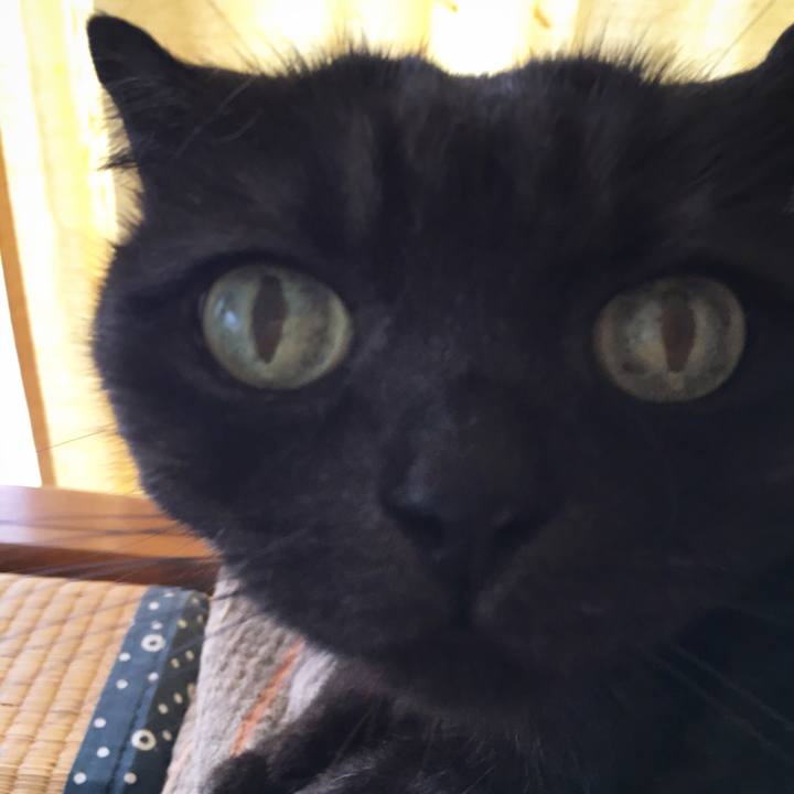 F8f1ad07 4dfe 44a3 9474 a085de4bdda2 1556730482156