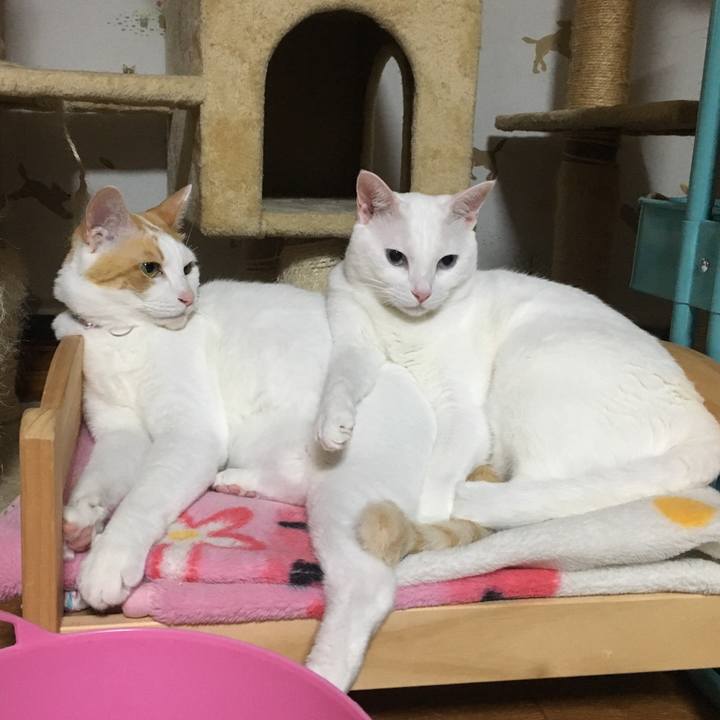 F8f1b147 08e6 43b1 aa2c 68601685ecb9 1527604690358