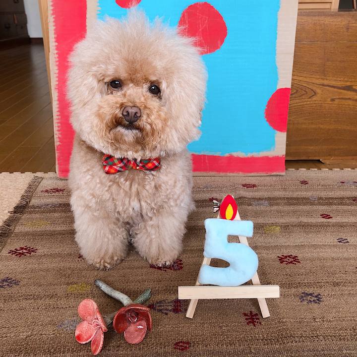 F8f1b1ff 5f68 4361 9f32 99971fcc7f7d 1546430305280