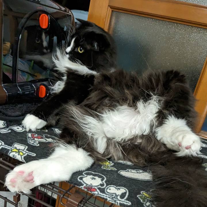 F8f1bded 42b0 48cb 9ca4 6a4f5c05cdf3 1677848348807