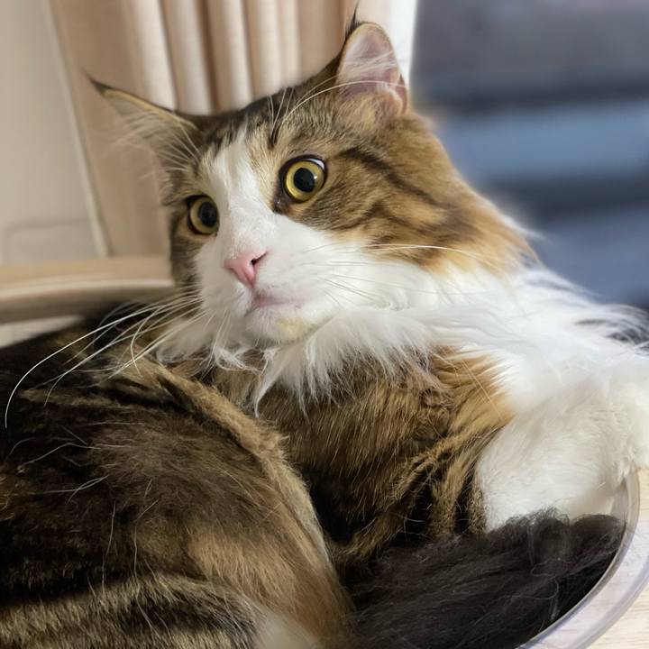 F8f1c0eb 40bd 40da ade5 78e5b6b97c54 1650743869352