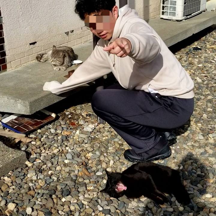 F8f1cdf7 afc0 46f5 b61c c06cfc8b6f9f 1679839453284