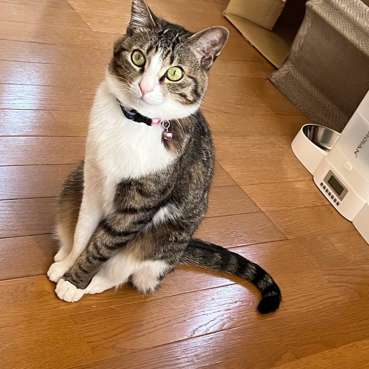 F8f1e322 d098 43da 9541 02d6681d371c 1723980271198