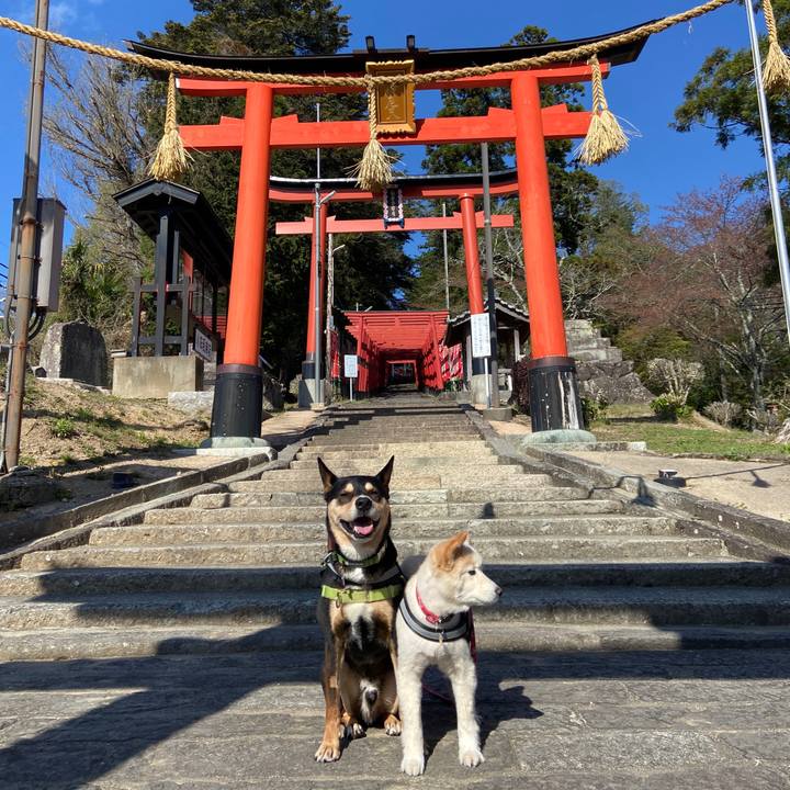 F8f205b8 1d4b 4da8 802c 32a5ae7715e8 1681125309788