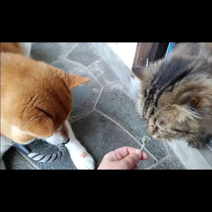 F8f20cef 20c0 4ef1 8e6e 7388a4d7413b 1624587139022