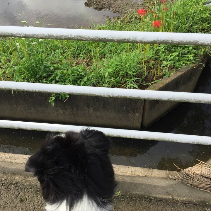 F8f25573 bfd2 4728 8c0a a83fae18a0e3 1567729020631