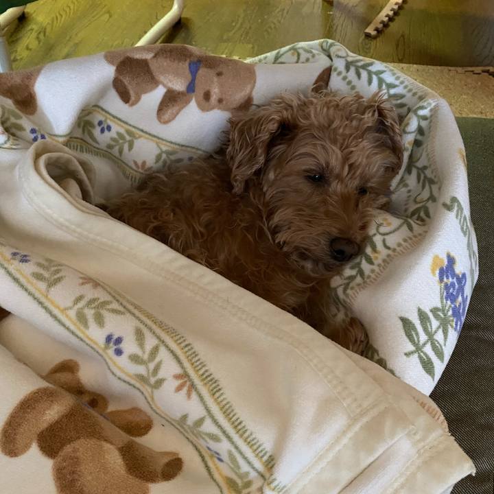 F8f272ff d827 4b4a ac77 62ce4e8c4200 1675464520805