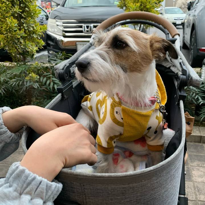 F8f2b533 36f5 49a6 9028 f757ee872e12 1616241432055