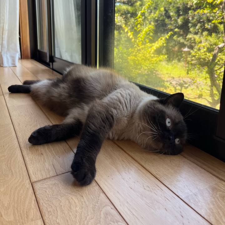 F8f2bfd3 7caf 4ceb a1bf c32acedce657 1658629989427