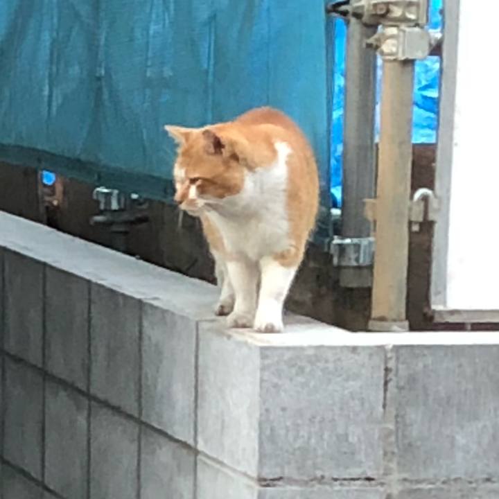 F8f2c76a d6b2 4fb4 a317 4a977c0b7273 1543414349979