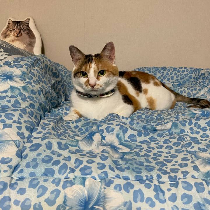 F8f308fc a73d 4c90 bdd4 6cc4bcaf6e6d 1721052327668