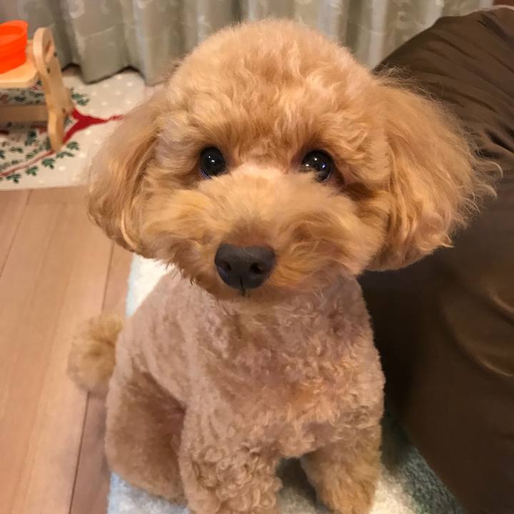 F8f32950 11b5 4f60 b786 41112916bc5a 1511956786721