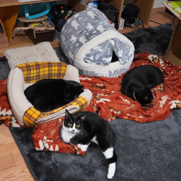 F8f329d5 a998 486f 9d47 7a6729a7a357 1606746921926