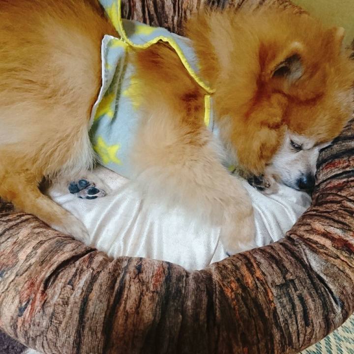 F8f34ce7 43d6 4434 8293 15bb8a2e07a5 1551998959421