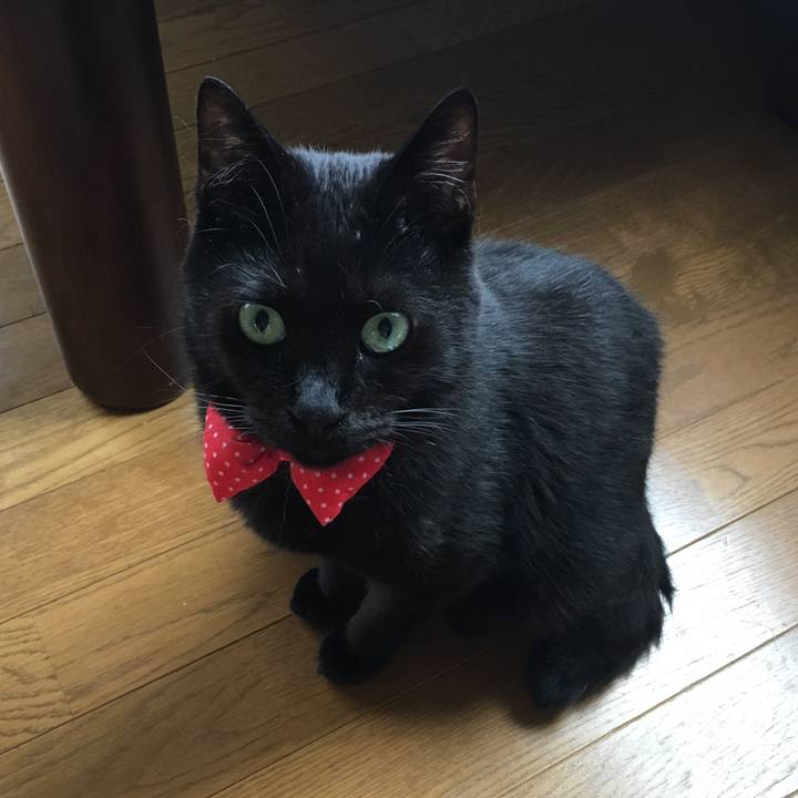 F8f361f9 97a8 475d 94bb fb6c6f1f4c57 1537077294979