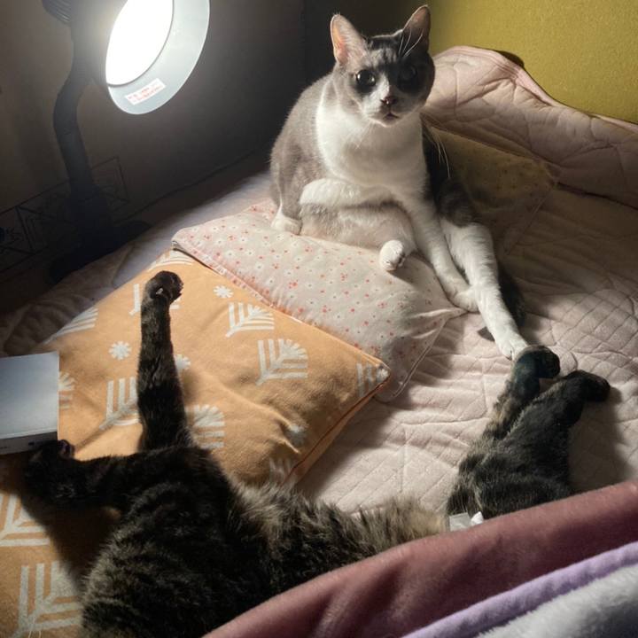 F8f37611 f421 47d2 a7bd 6a810b92d29e 1643242809608