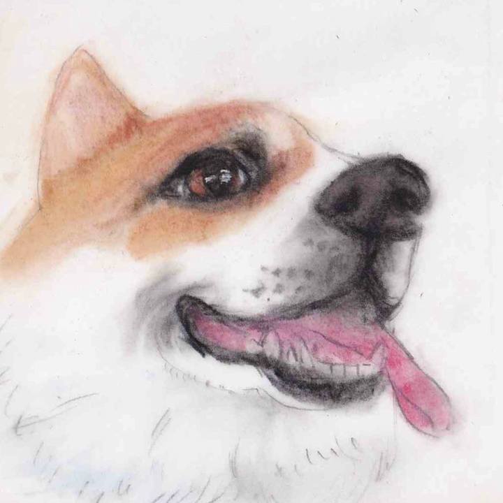 F8f398a7 a4ee 47b9 94d0 d24c03c7469f 1634774674325