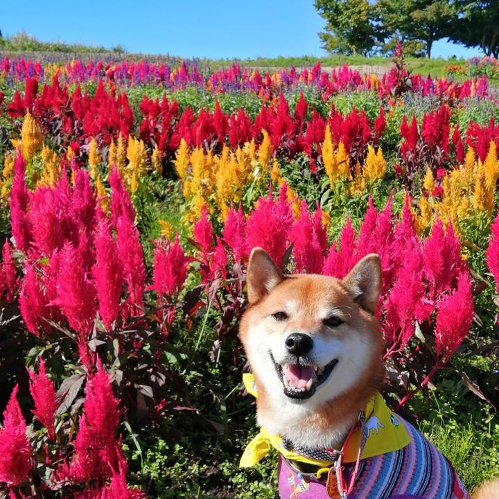 F8f3a344 c2f4 4081 ba3c 07dcc8b10a65 1632057626931