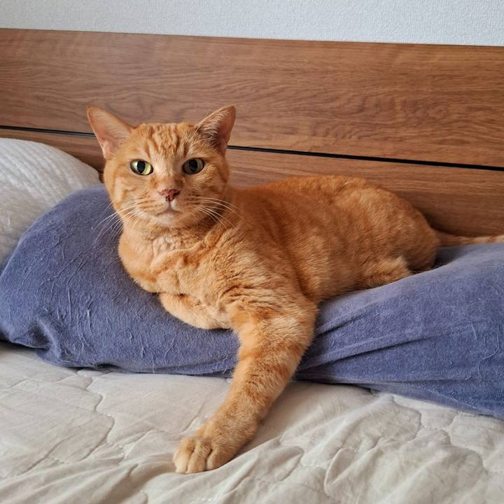 F8f4023f 6d68 4e15 b278 fccde24b69b6 1754040378637