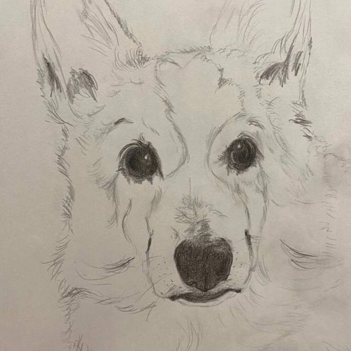 F8f4752a c5f2 4953 b659 28932a831598 1613352376945