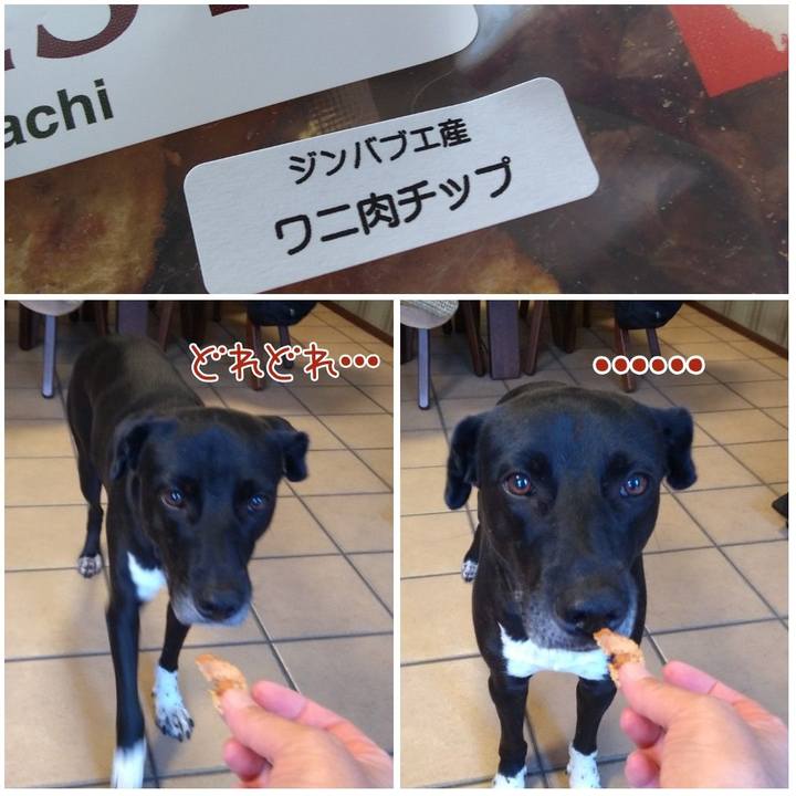 F8f50bd4 a169 4fec 9026 9cfb0db52dd4 1628247649924