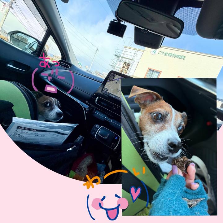 F8f54f5b 8ca9 4a8b bf8b 1a6a4e064aec 1768969834034