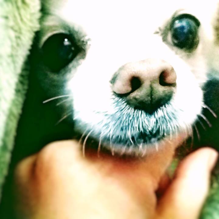 F8f5537d 3e6c 42cc 9a86 2230416b8f47 1575543745345