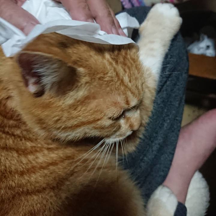 F8f554dd e5f7 4272 88a7 702b3f92145e 1581590488224