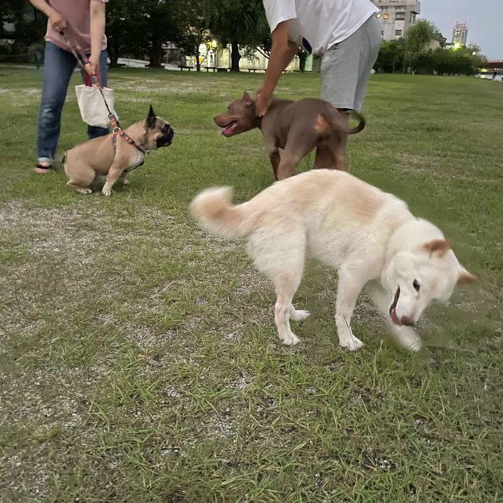 F8f55d0d cd7a 455c 8f76 4ebe35a5e155 1658671510308