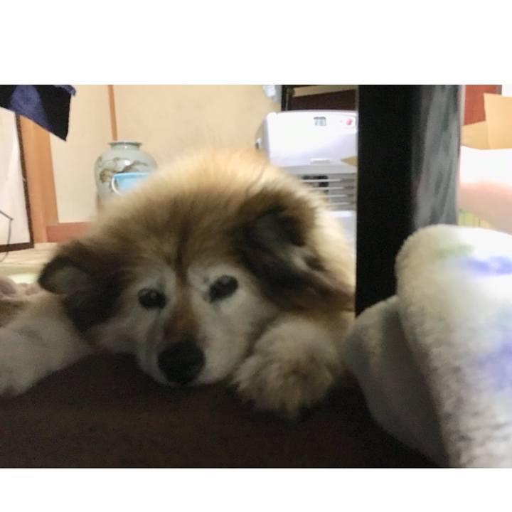 F8f567e1 9025 409d b4fe 7ce3a6045d84 1554894968646