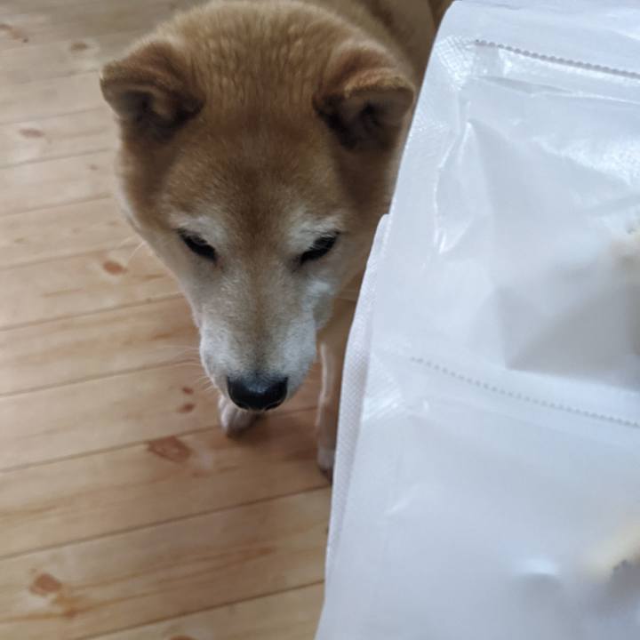 F8f57df9 e8d8 4d79 9b38 e67c67260d8e 1749015618267